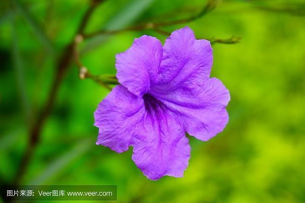 穷年尽气