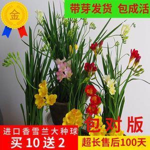 芒刺在身