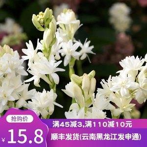 赍志而没