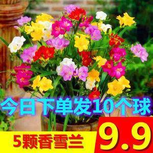 刿心鉥肾