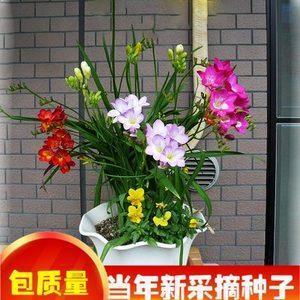 四停八当