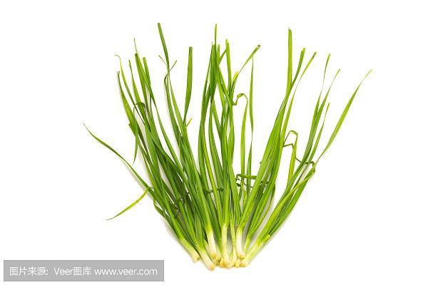 百顺千随