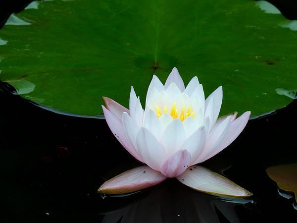 有气质的精致短句 气质女人朋友圈句子
