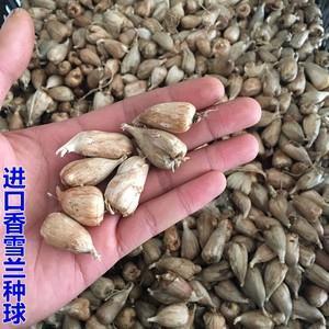 母以子贵