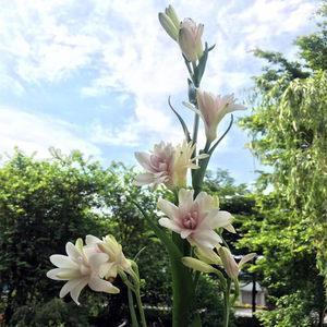 色如死灰