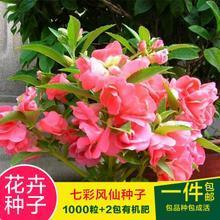 名我固当
