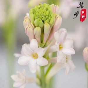 杀一利百