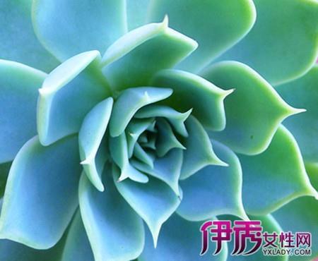 求其友声