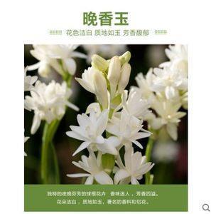 选色征歌