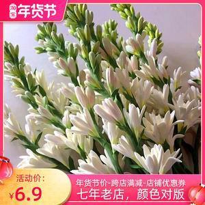 察见渊鱼