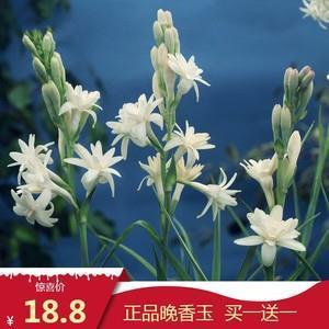 易衣而出，并日而食