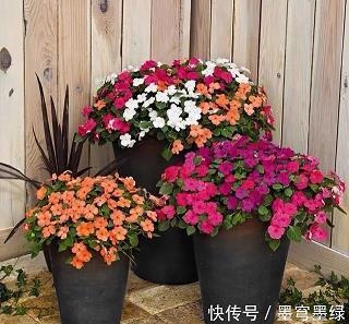明德慎罚