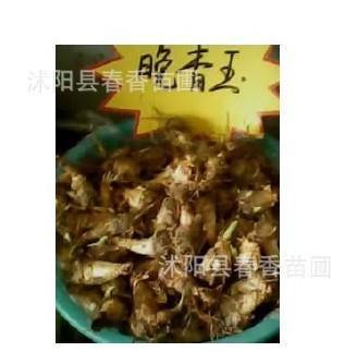 殊涂同致