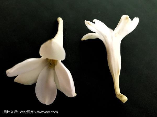 邀功希宠