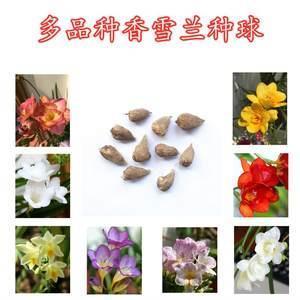 尽思极心