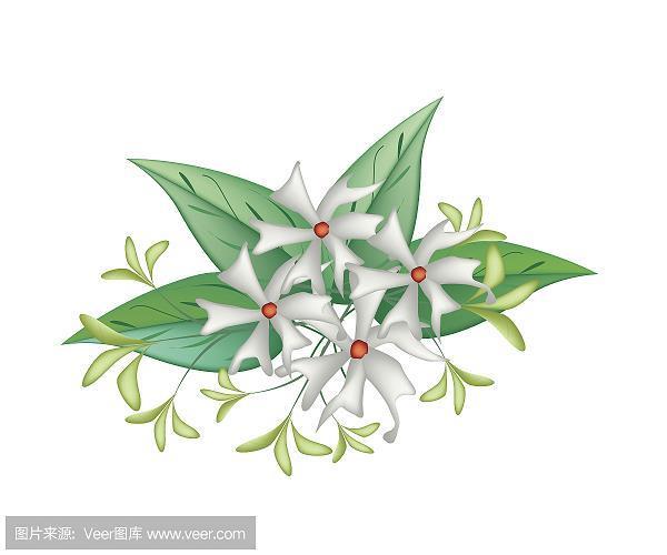 别具慧眼