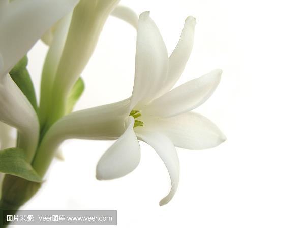魔道祖师经典语录