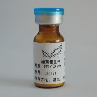 程朱学派