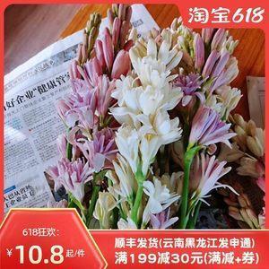 复蕉寻鹿