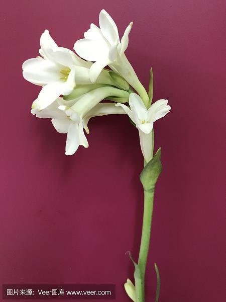 风驰电掣