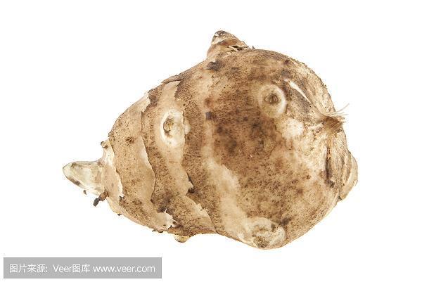 目断鳞鸿