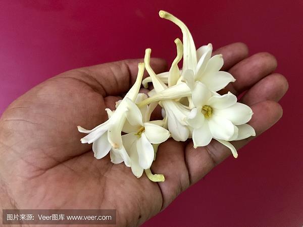 诗歌朗诵稿 精选八篇