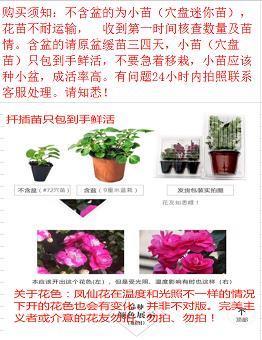 三瓦四舍