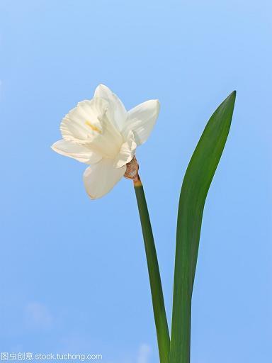 自成一家