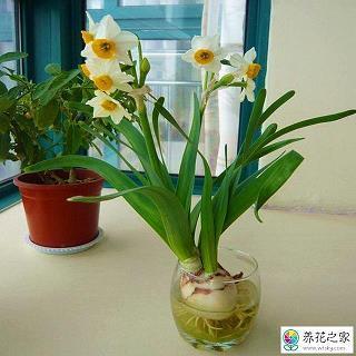 青红皁白