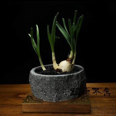 篝灯呵冻