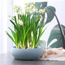 积草屯粮