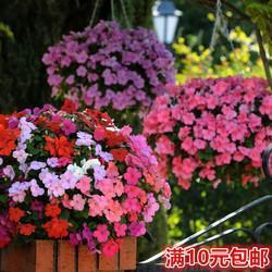 中心是悼