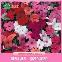 付诸东流