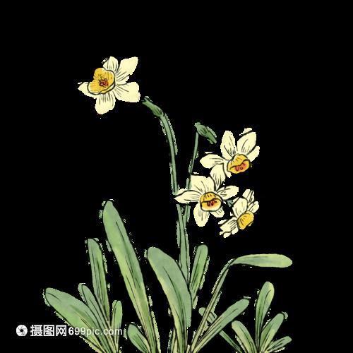 只谈风月