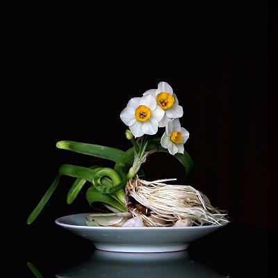 交臂历指