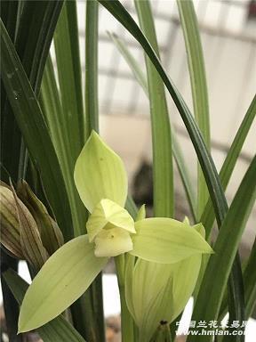 换汤不换药