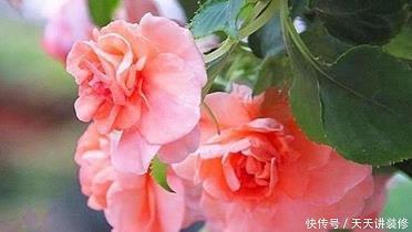 指手点脚