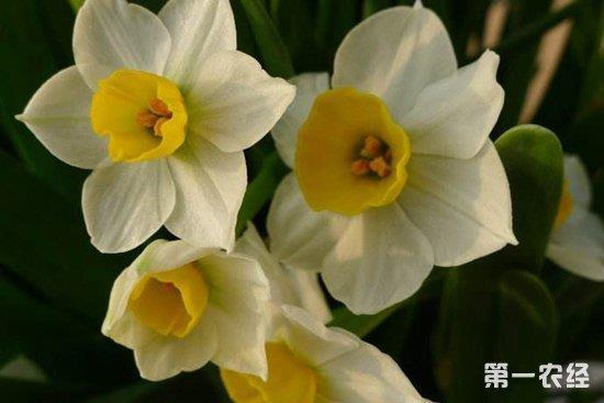 稀汤寡水