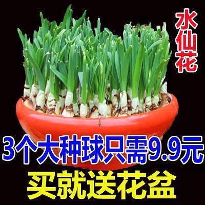绝群拔类