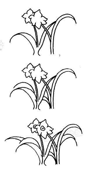 不日不月