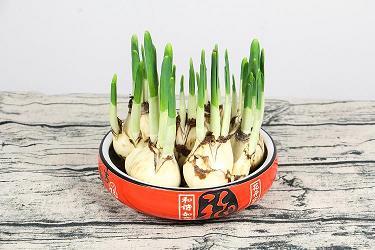 祝咽祝哽