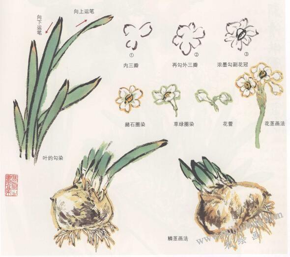 道远知骥