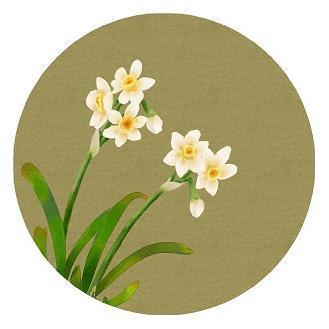 像模象样