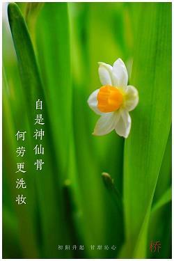 壶中日月