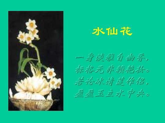 冠绝时辈