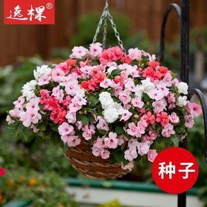 习以成俗