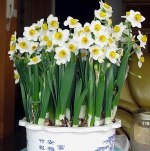 一团和气