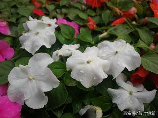 惊心掉胆
