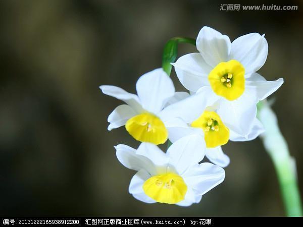 摩肩擦踵