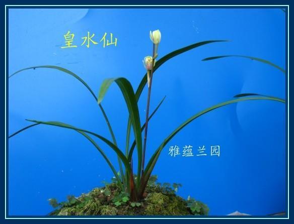 经典早安心语配图 微商励志最新图片